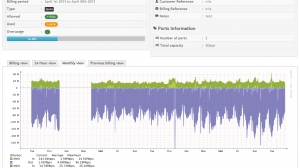 Traffic Consumption - Monthly View